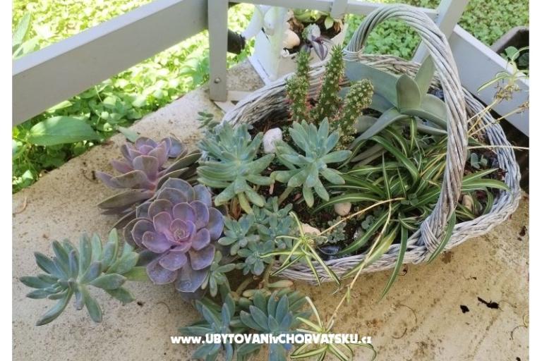 Appartementen NIKA – foto 15