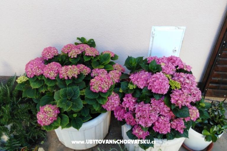 Appartementen NIKA – foto 16