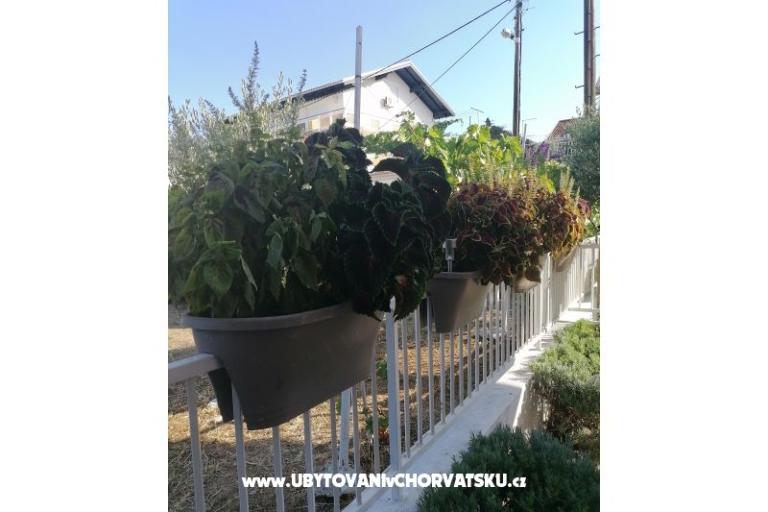 Appartementen NIKA – foto 8