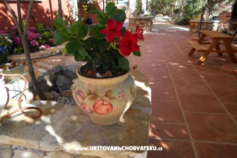 Appartementen Dea&amp;Paula – foto 9