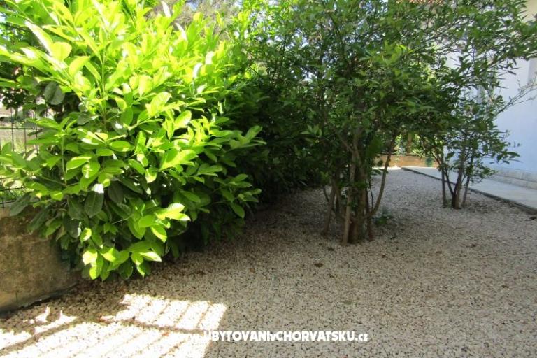 Appartementen Kokor – foto 11