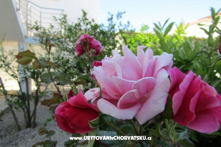 Appartementen Kokor – foto 4