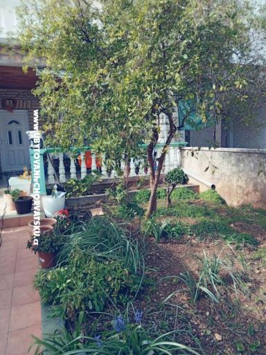 Appartementen Marijana Alaga – foto 4