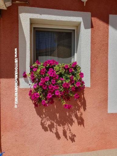 Appartementen Nana – foto 17