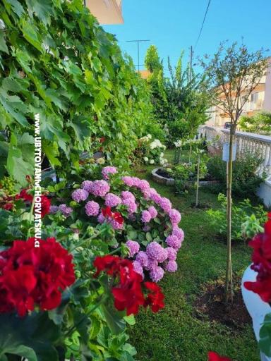 Appartementen Rino – foto 35