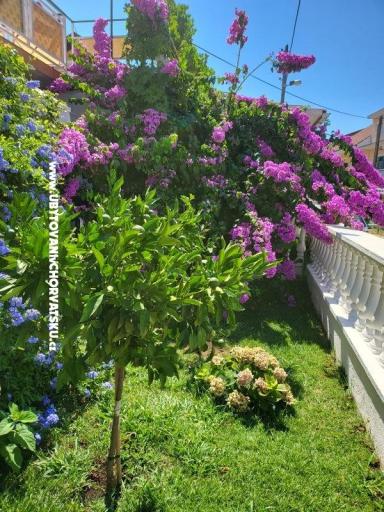 Appartementen Rino – foto 36