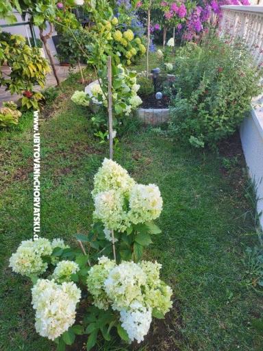 Appartementen Rino – foto 37