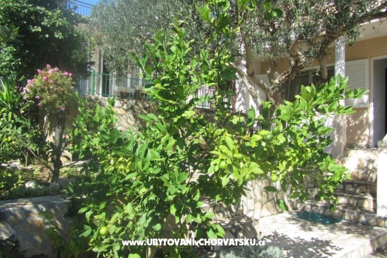 Appartementen Sonja – foto 12