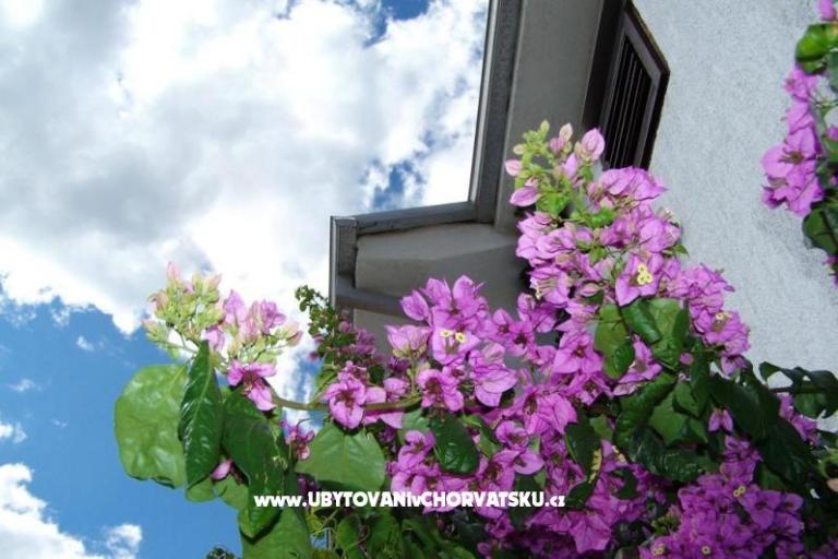 Appartementen Stanko Vodice – foto 2