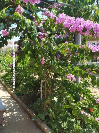 Appartementen Vinka – foto 20