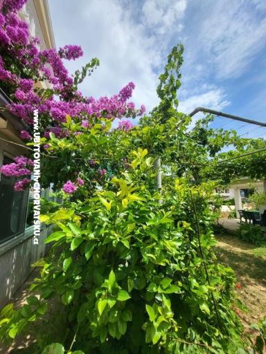 Appartementen Vinka – foto 23