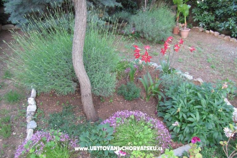Appartementen Zvonimir – foto 11