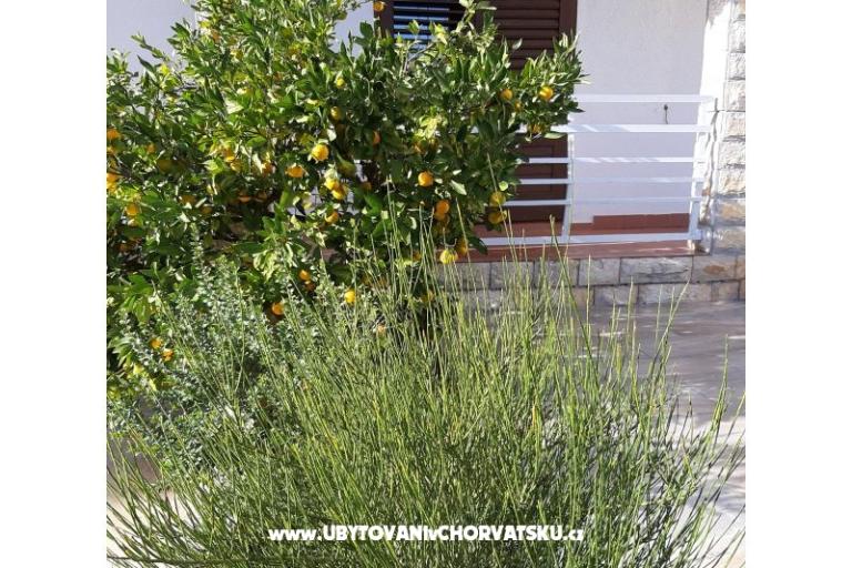 Appartementen Vitali – foto 10