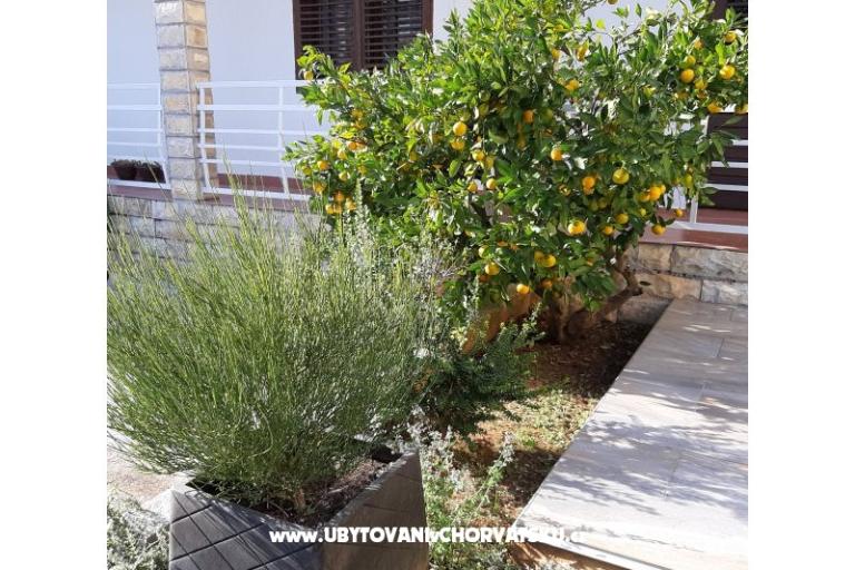 Appartementen Vitali – foto 11