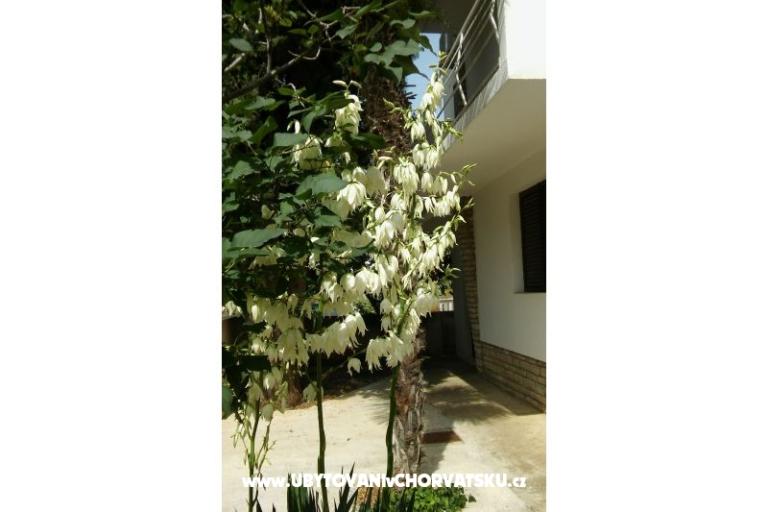 Appartementen Vitali – foto 6