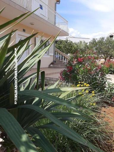 Appartementen Duzelovi dvori  – foto 12