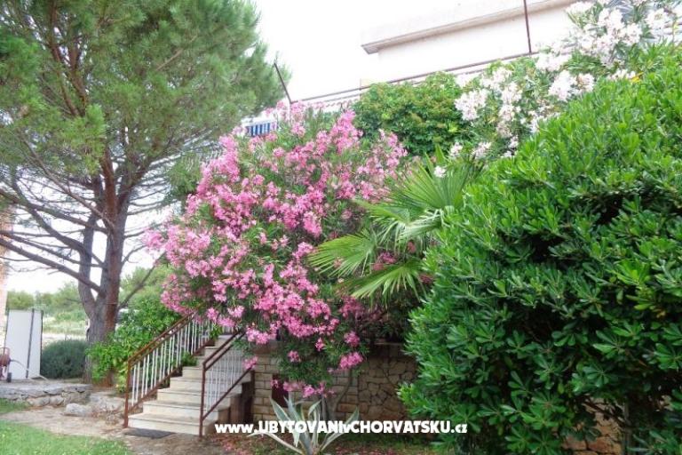 Appartementen  IVAN   – foto 17