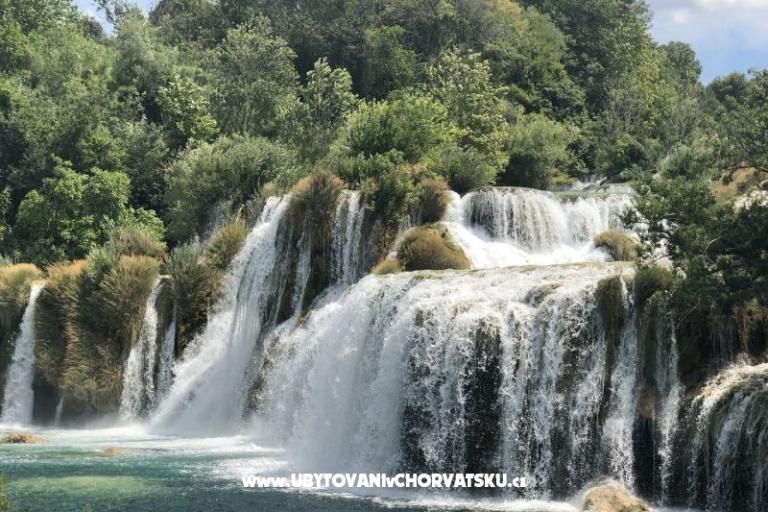 Kiwi Huis – foto 10