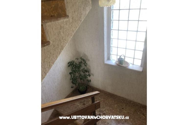 Kiwi Huis – foto 13