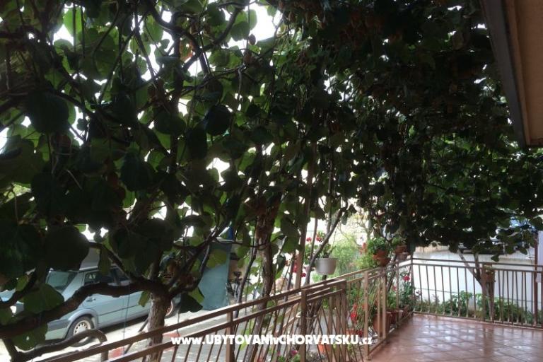 Kiwi Huis – foto 5