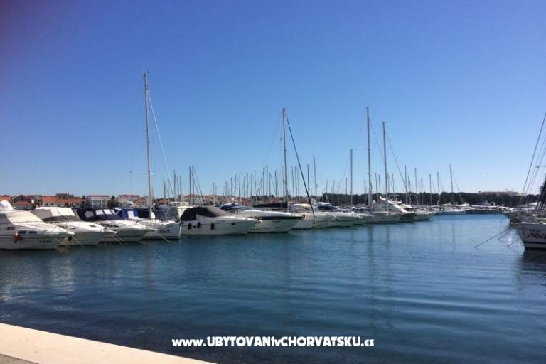 Kiwi Huis – foto 6