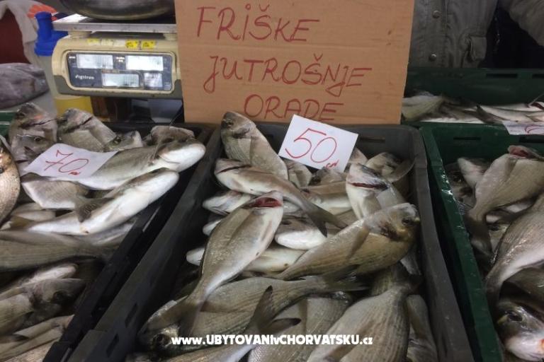 Kiwi Huis – foto 8