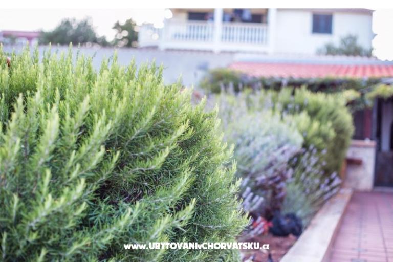 Villa Lovas – foto 5