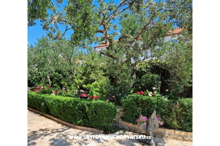 Villa Neda – foto 2