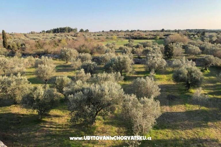 Casadigioia Appartementen – foto 6