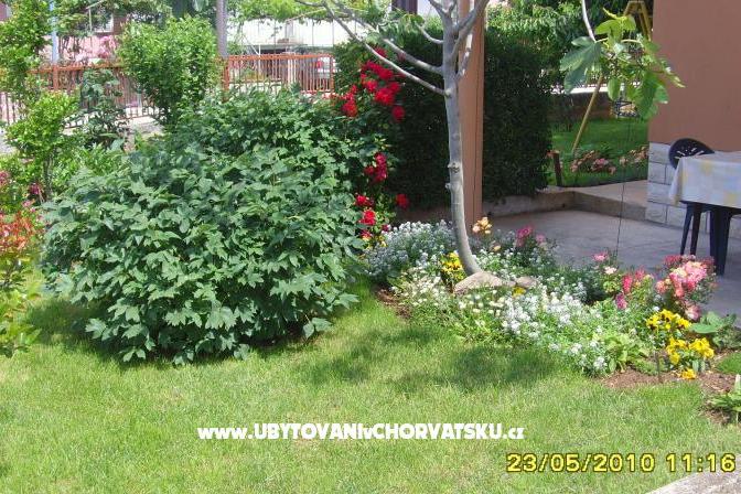 Appartement Amico – foto 6