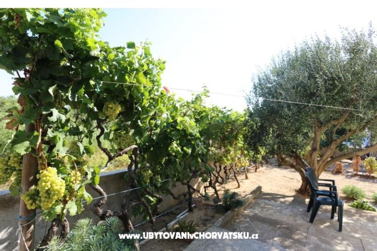 Appartement Radobuljac Vrsi  – foto 3