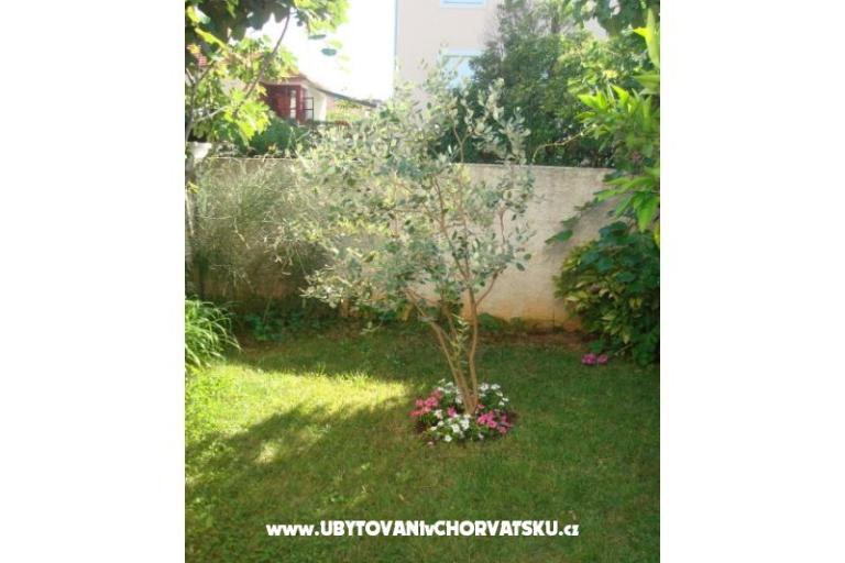 Appartementen Andredor – foto 8