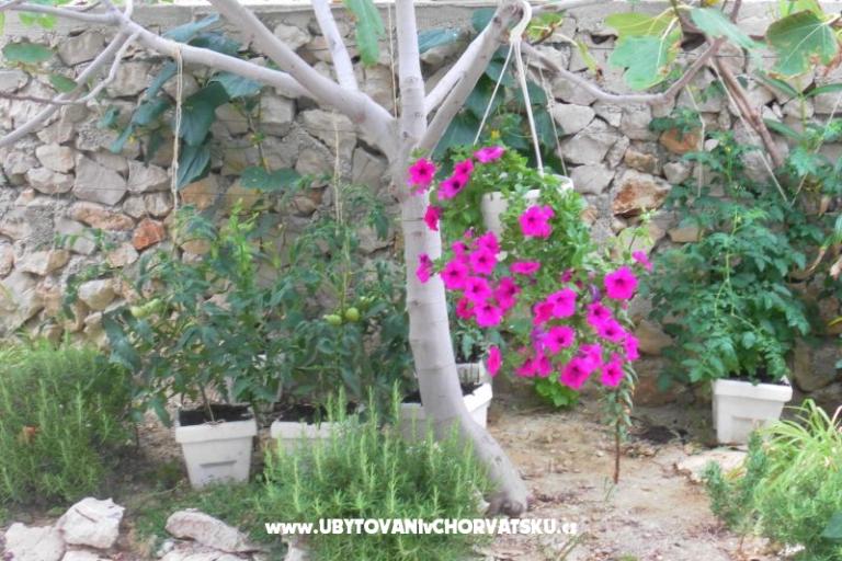 Appartementen Stojanović – foto 16