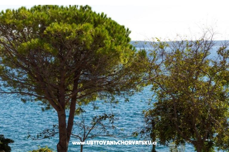 Appartementen Stošić – foto 10