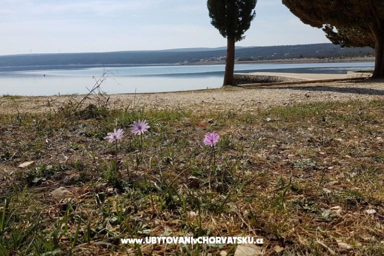 Appartementen Tena,  prvi red do mora – foto 45