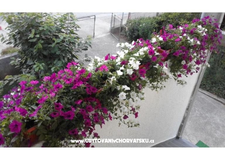 Appartements  Nina  – foto 11