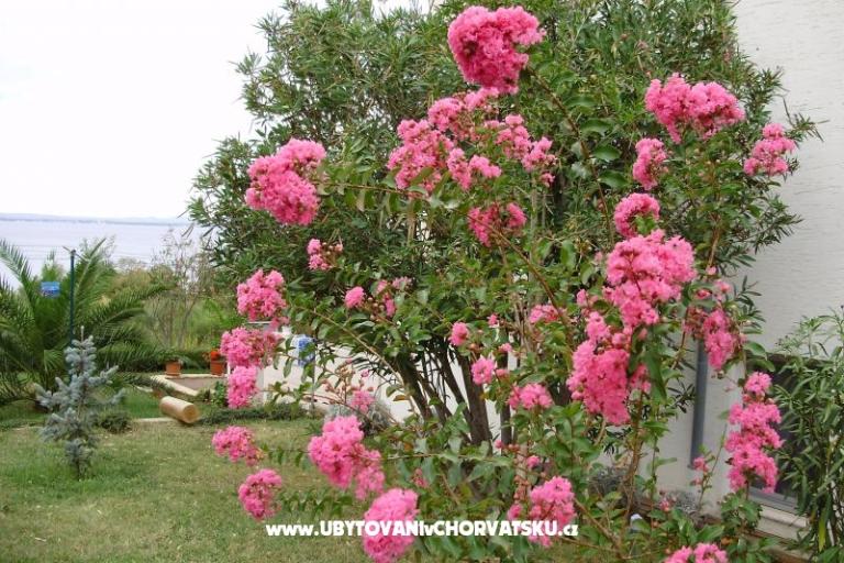 Appartementen Marija – foto 10