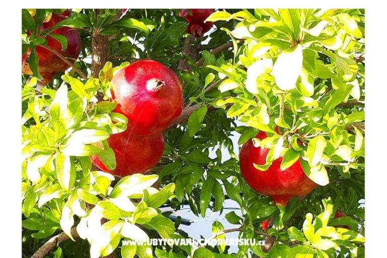 Appartementen Marija – foto 12