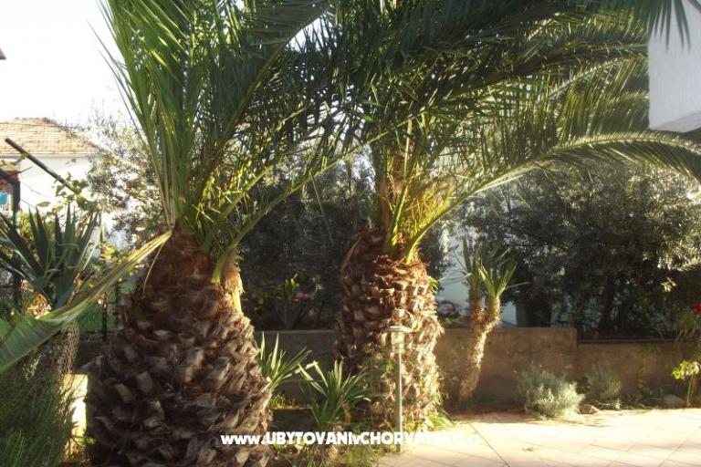 Appartementen Borik – foto 2