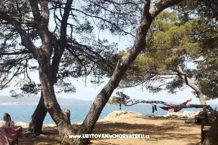 Appartementen Asea Zadar – foto 6
