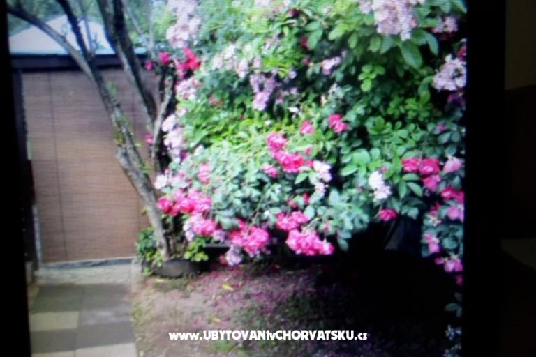 Appartementen Floresita – foto 16