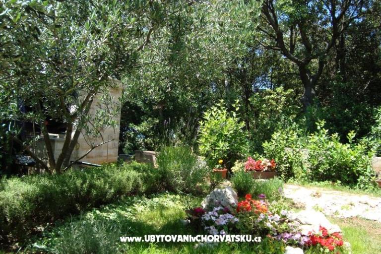 Appartementen ISA – foto 12