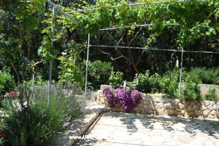 Appartementen ISA – foto 14