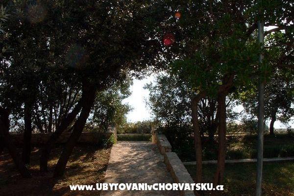 Appartementen ISA – foto 6