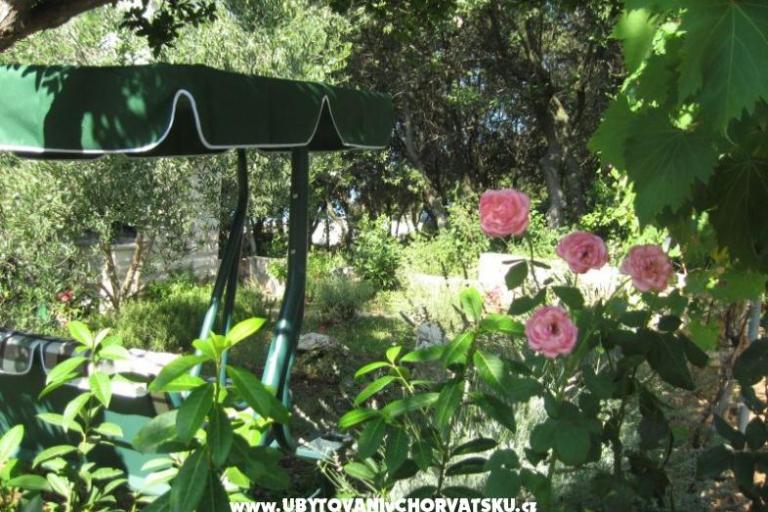 Appartementen ISA – foto 7