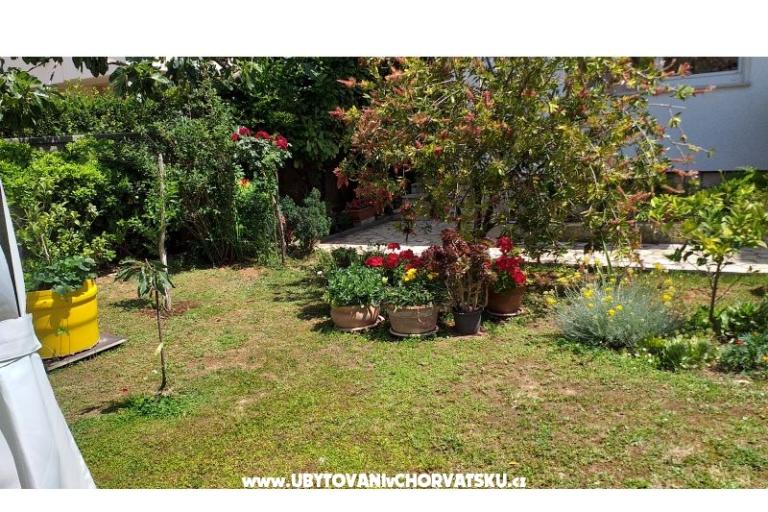 Appartementen Manda – foto 17