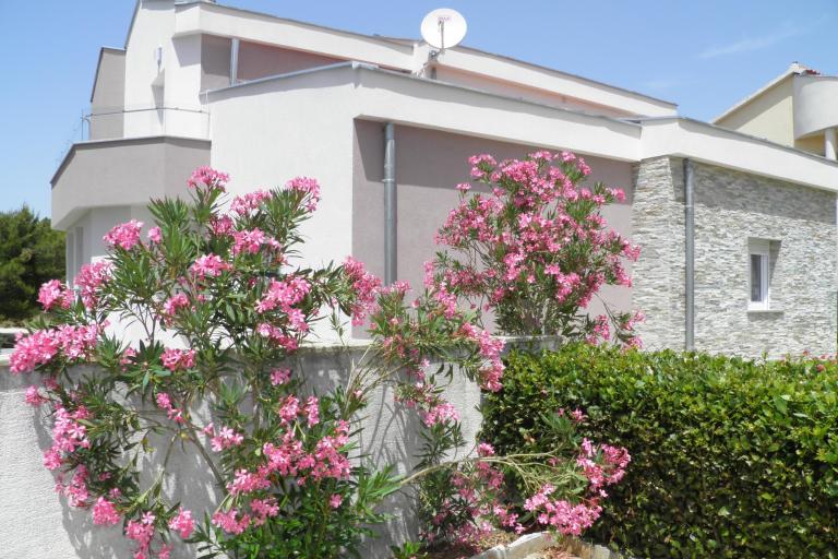 Appartementen Mirakul – foto 8