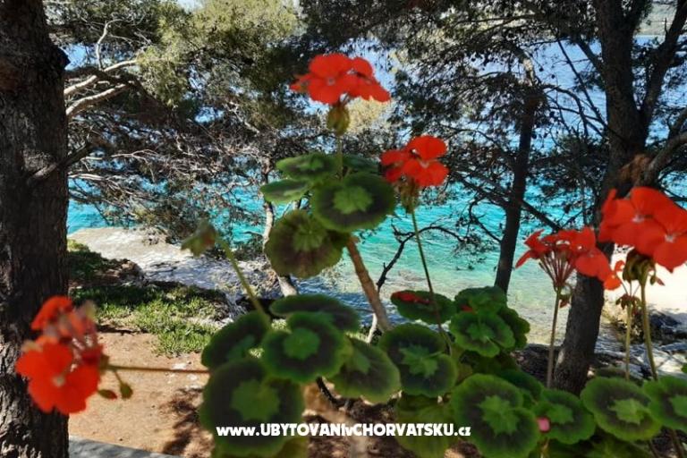 Robinzonski turizam Lavdara Dominis – foto 13