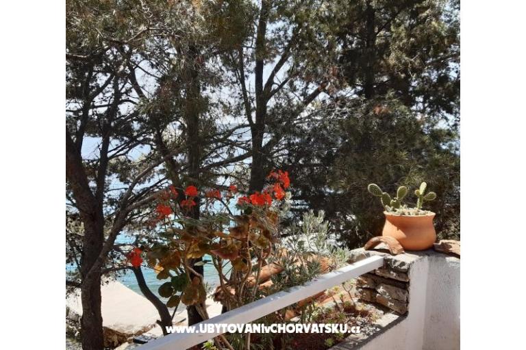 Robinzonski turizam Lavdara Dominis – foto 16