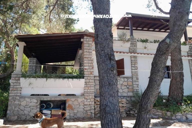 Robinzonski turizam Lavdara Dominis – foto 44